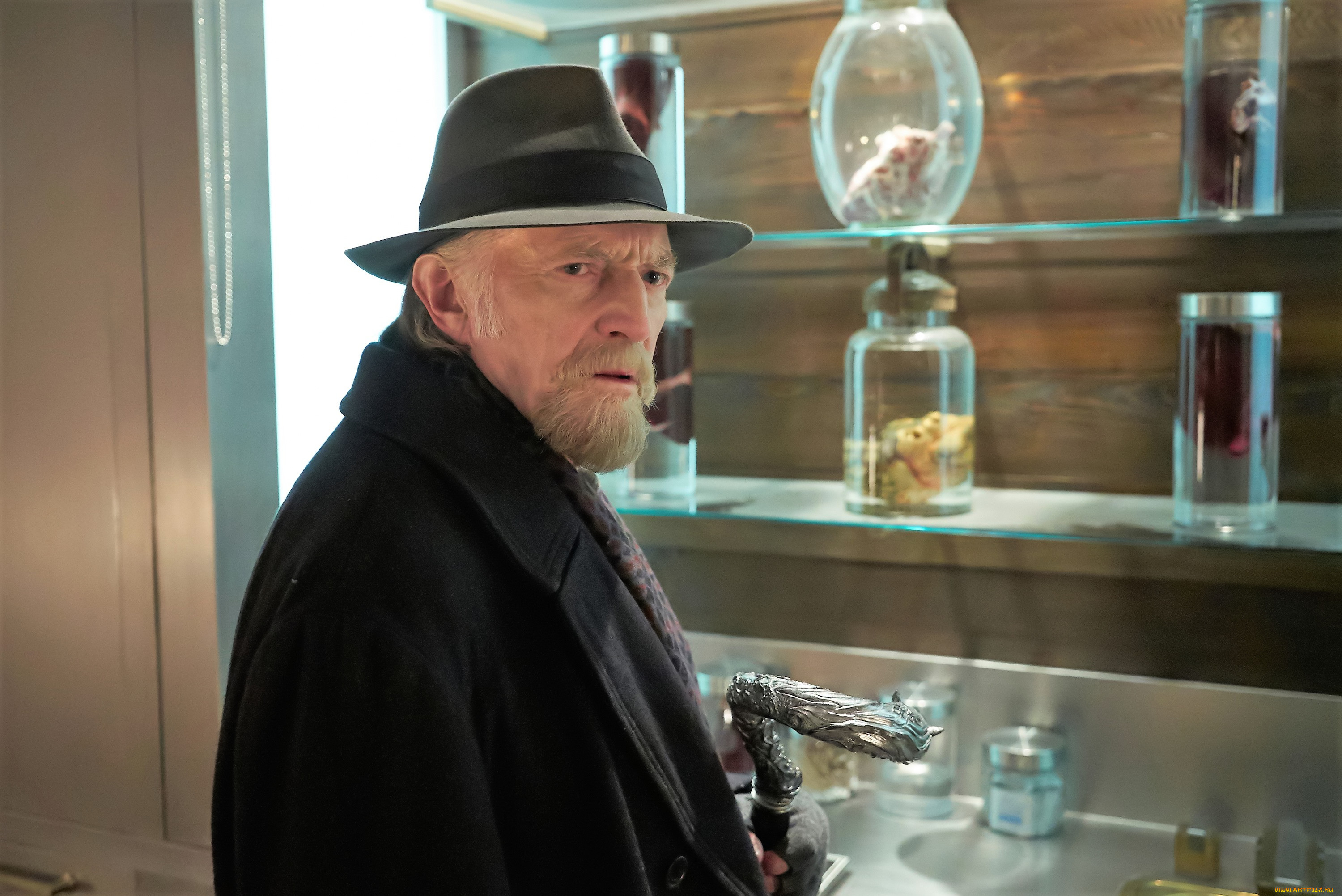  , the strain, , 